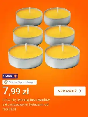 Świece cytrusowe przeciw owadom NO PEST 6-pak