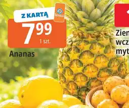 E.Leclerc Ananas oferta