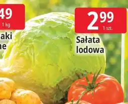 E.Leclerc Sałata lodowa oferta