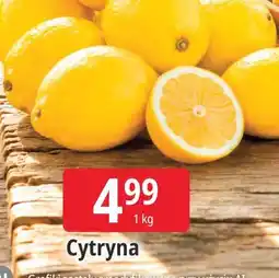 E.Leclerc Cytryna oferta