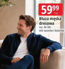 E.Leclerc Bluza męska dresowa Moraj oferta