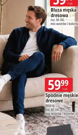 E.Leclerc Spodnie męskie dresowe Moraj oferta