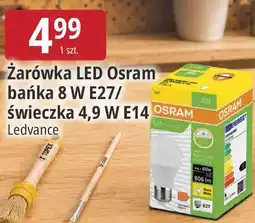 E.Leclerc Żarówka LED Osram bańka 8 W E27/ świeczka 4,9 W E14 Ledvance oferta
