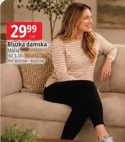E.Leclerc Bluzka damska Moraj oferta