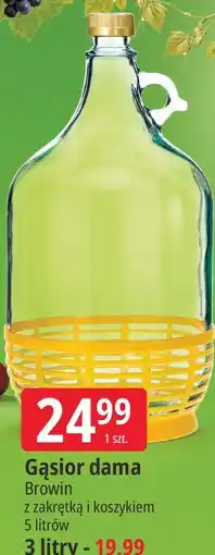 E.Leclerc Gąsior dama Browin 5 litrów oferta