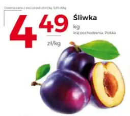 Frac Śliwka oferta