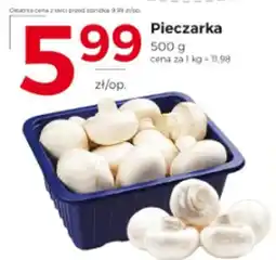 Frac Pieczarka oferta