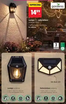 Biedronka Lampa solarna Gardenic oferta