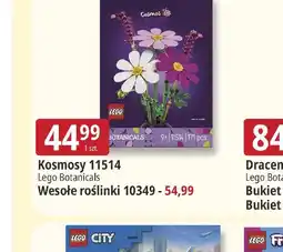 E.Leclerc Kosmosy 11514 Lego Botanicals oferta
