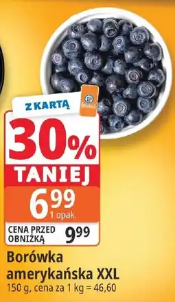 E.Leclerc Borówka amerykańska XXL oferta