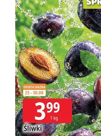 E.Leclerc Śliwki oferta