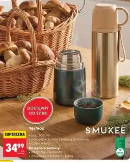 Biedronka Termos oferta