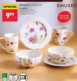 Biedronka Naczynia porcelanowe oferta