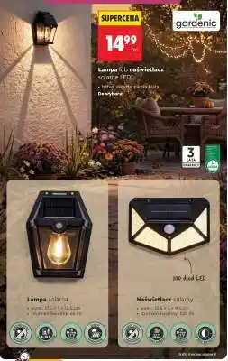 Biedronka Lampa lub naświetlacz solarna LED oferta