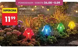 Biedronka Lampka solarna LED oferta