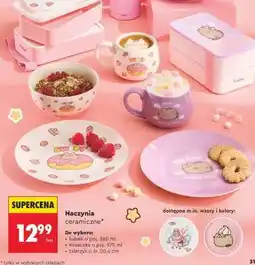 Biedronka Naczynia ceramiczne oferta