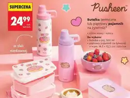 Biedronka Butelka termiczna lub piętrowy pojemnik na żywność oferta