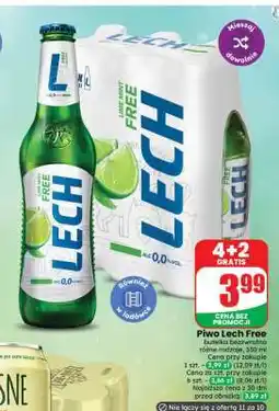 Dino Piwo Lech Free oferta