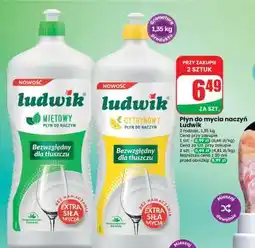 Dino Płyn do mycia naczyń Ludwik oferta