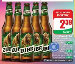 Dino Piwo ŻUBR oferta
