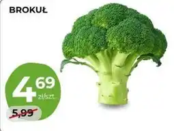 Orzech Brokuł oferta