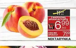 Wafelek Nektarynka oferta