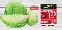 Wafelek Kapusta Biała oferta
