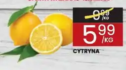 Wafelek Cytryna oferta