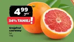 Netto Grejpfrut czerwony luz oferta