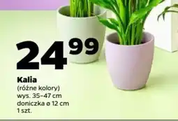 Netto Kalia oferta