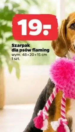 Netto Szarpak dla psów flaming oferta