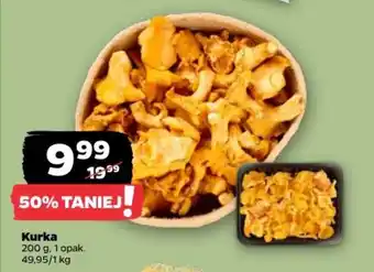 Netto Kurka oferta