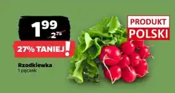 Netto Rzodkiewka oferta