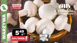 Netto Pieczarka biała oferta