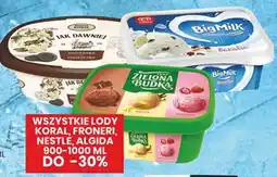 Wafelek Lody oferta