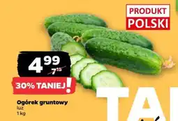 Netto Ogórek gruntowy oferta