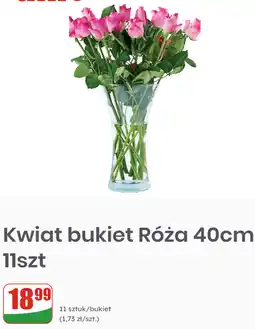 Dino Kwiat bukiet Róża 40cm 11szt oferta