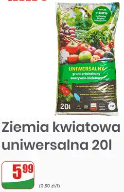 Dino Ziemia kwiatowa uniwersalna oferta