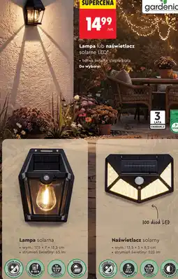 Biedronka gardenic Lampa lub naświetlacz solarne LED oferta