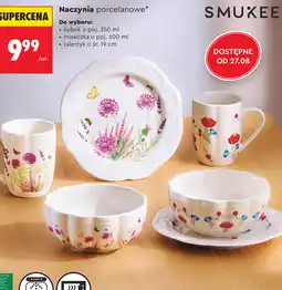 Biedronka Naczynia porcelanowe Smukee oferta