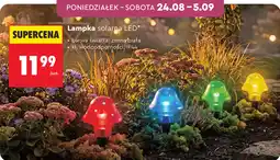 Biedronka Lampka solarna LED oferta