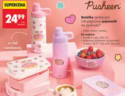 Biedronka Pusheen Butelka termiczna lub piętrowy pojemnik na żywność oferta