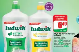 Dino Płyn do naczyń Ludwik oferta