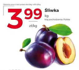 Frac Śliwki oferta