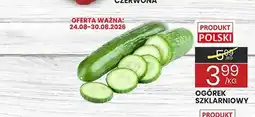 Wafelek Ogórek szklarniowy oferta