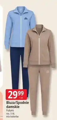 E.Leclerc Bluza damska Futuro oferta