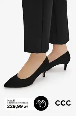 CCC Czółenka zamszowe Lasocki oferta
