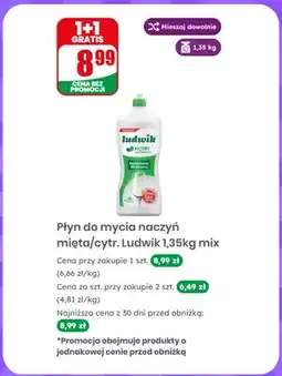 Dino Płyn do mycia naczyń Ludwik cytrusowy oferta