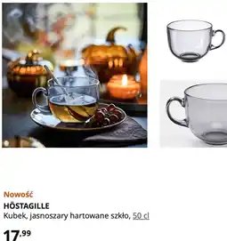 IKEA IKEA HÖSTAGILLE Kubek, jasnoszary hartowane szkło oferta