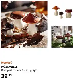 IKEA IKEA HÖSTAGILLE Komplet ozdób, 3 szt., grzyb oferta